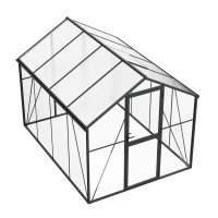 Greenhouse Premium Black 307 cm &ndash; Glass/Polycarbonate